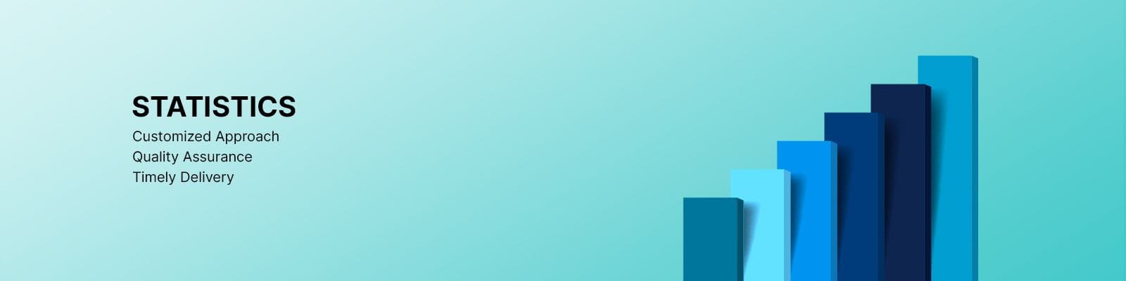 Banner 12