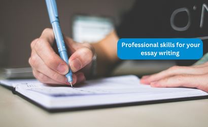 Essay writing guidance of academic professionals.